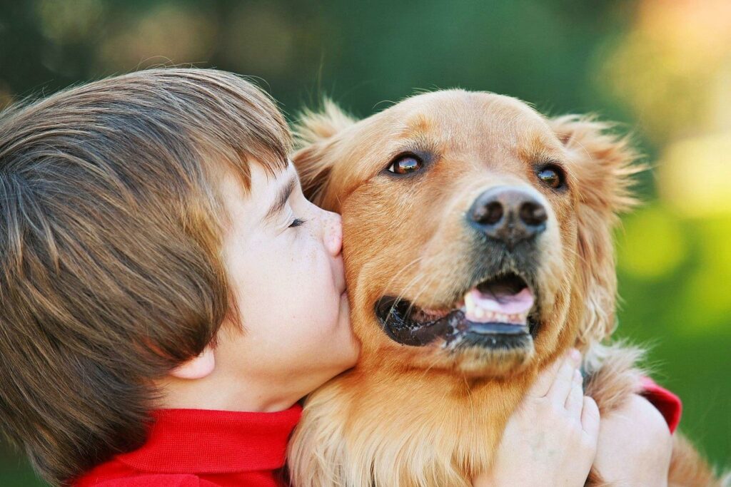 His pets dogs. Опишите фотографию домашний питомец два человека. Есть ли у вас домашние питомцы и какие у вас обязанности перед ними. Вам или вам. Вашим или вашем.