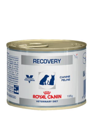 Влажный консервированный корм Royal Canin Recovery для собак и кошек