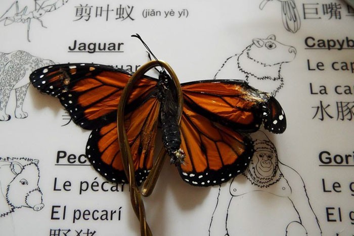 Изготовление крыльев бабочки