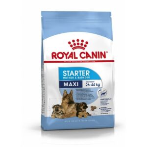Сухой корм Royal Canin Maxi Starter для щенков крупных пород в период отъема до 2-месячного возраста, беременных и кормящих собак