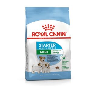 Сухой корм Royal Canin Mini Starter Mother & Babydog для щенков, беременных и кормящих собак мелких пород
