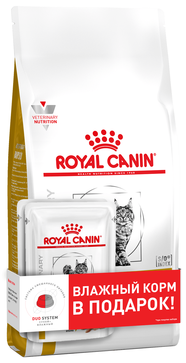 Роял канин уринари для кошек. Корм для кошек Royal Canin Urinary s/o. Роял Канин Уринари s/o для кошек. Royal Canin для кошек 400+пауч. Royal Canin Urinary s/o для кошек сухой корм.