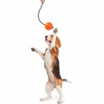 Liker Cord Мячик Лайкер на канате для собак 7 см, оранжевый
