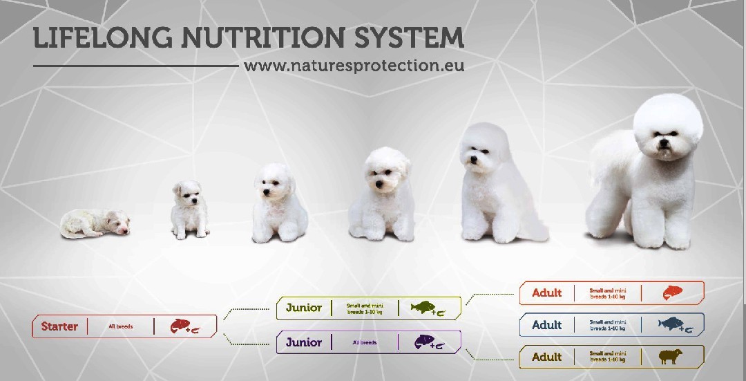 Купить корм NATUR'S PROTECTION  White Dogs для белых собак от слезных дорожек, убирает рыжую шерсть, в Москве по низким ценам