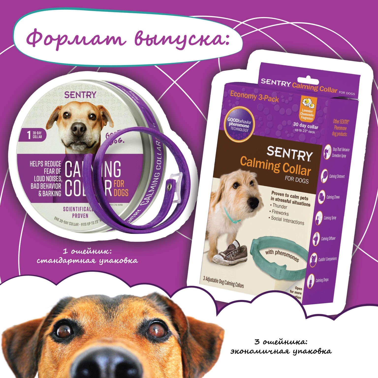 Ошейник sentry calming collar. Sentry calming collar ошейник. ошейник сентри для кошек. calming collar ошейник для кошек. calming collar ошейник для кошек отзывы состав.