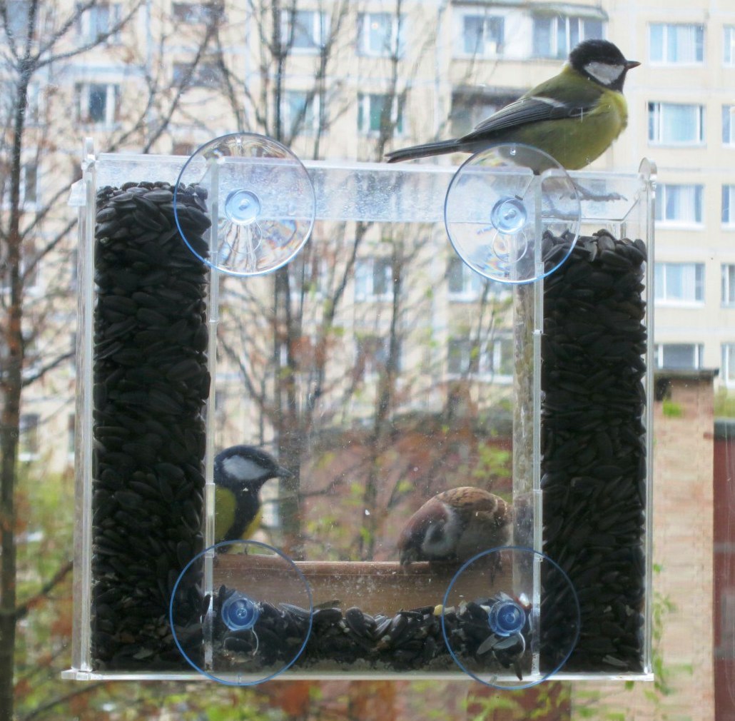 кормушки для птиц на окно