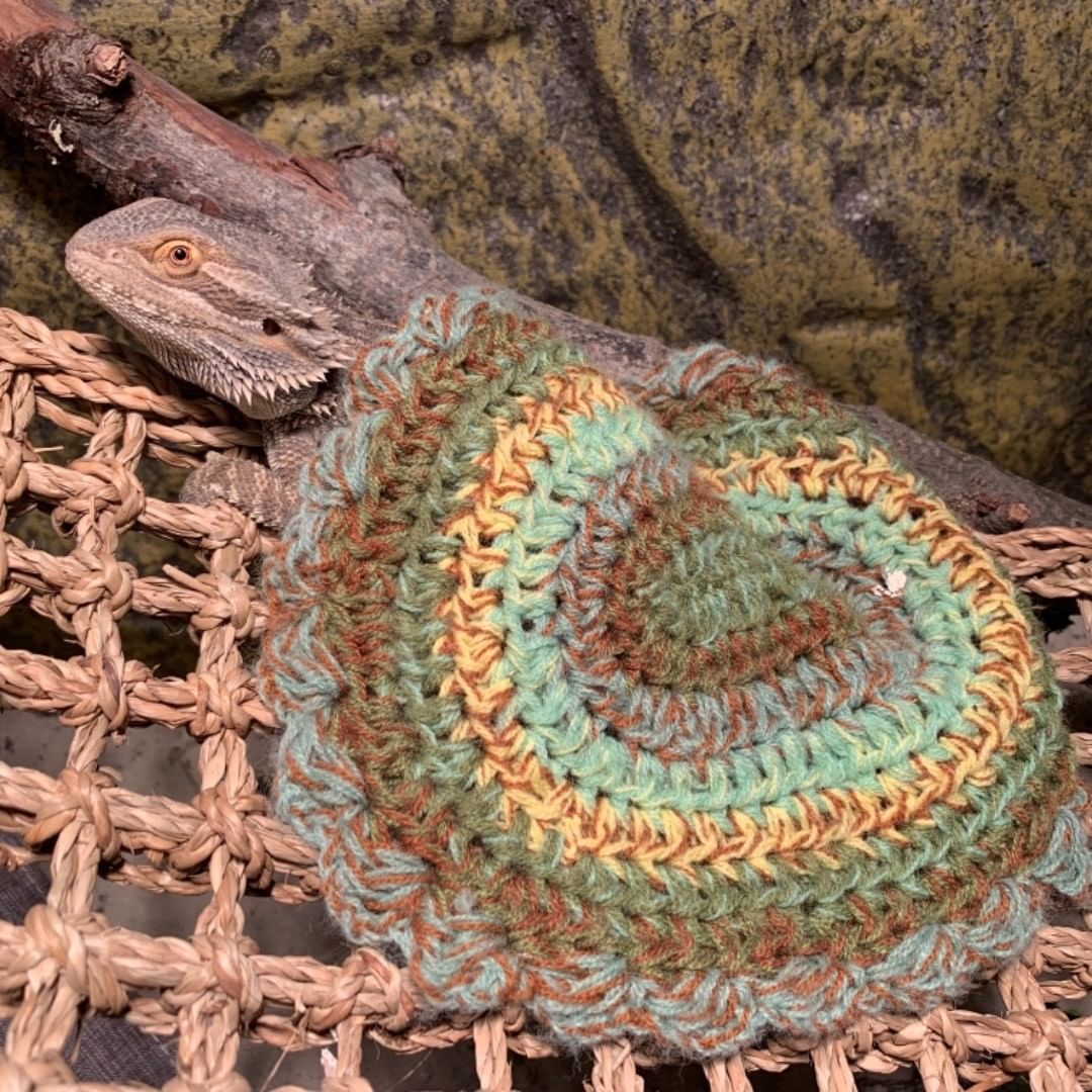 одеяльце для ящерицы