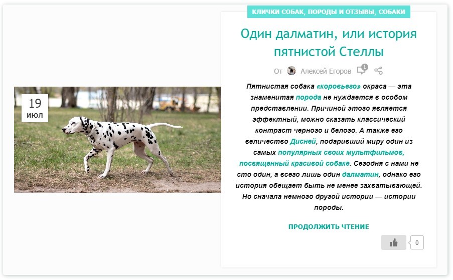 Минусы далматинцев. Далматин отзывы. далматинец характеристика породы плюсы и минусы.