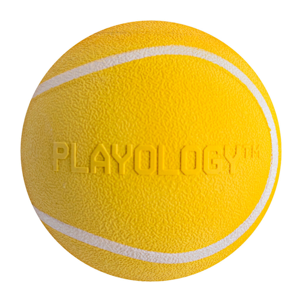Жевательный мяч Playology SQUEAKY CHEW BALL 6 см для собак мелких и средних пород с пищалкой и с ароматом курицы