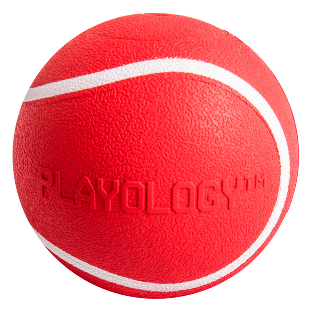 Жевательный мяч Playology SQUEAKY CHEW BALL 6 см для собак мелких и средних пород с пищалкой и с ароматом говядины