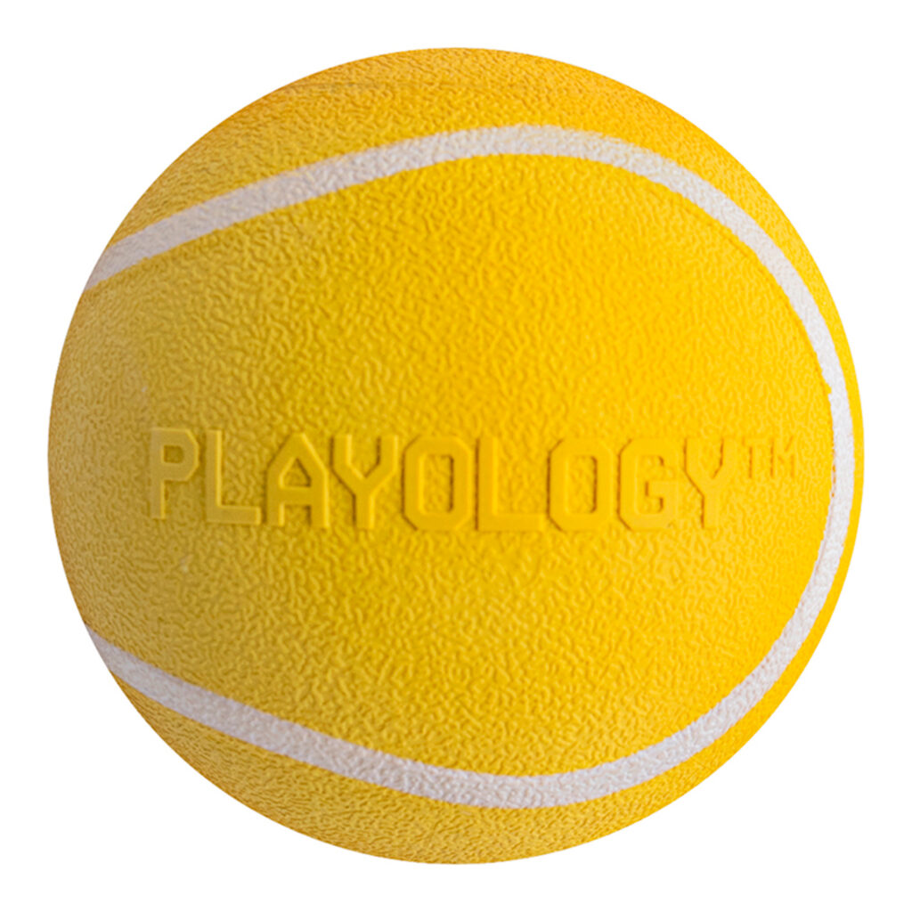 Жевательный мяч Playology SQUEAKY CHEW BALL 8 см для собак средних и крупных пород с пищалкой и с ароматом курицы